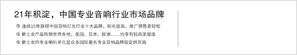 21年積淀，中國(guó)專業(yè)音響行業(yè)市場(chǎng)品牌